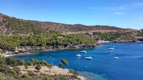 Cala Pelosa