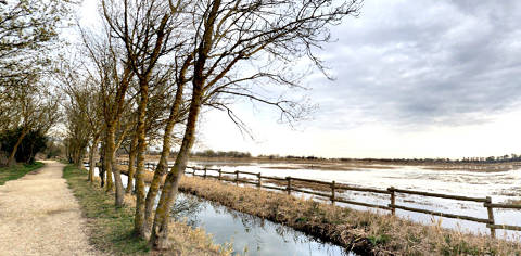 Aiguamolls de l'Empordà